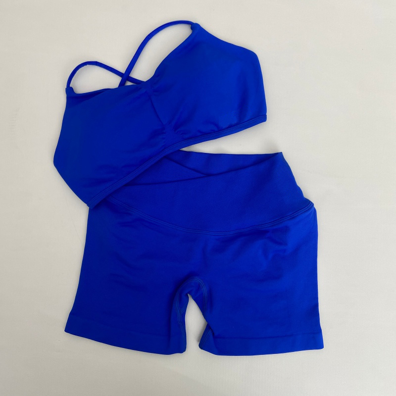 Женский комплект для фитнеса:  – обзор и цена Sports Bra High Impact